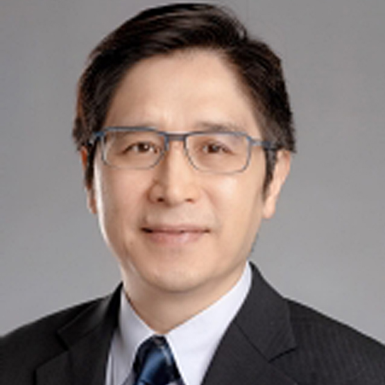 Professor Stephen WONG